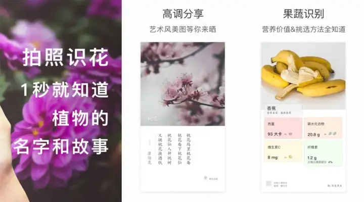 8款小众但实用的安卓APP，每一个都巨好用！